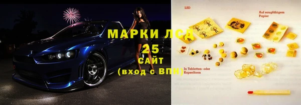 сатива Новодвинск