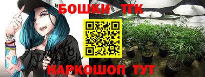 spice Кингисепп