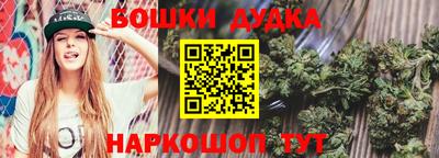 гашик Кимры