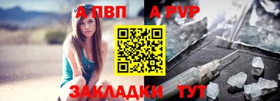 spice Кингисепп
