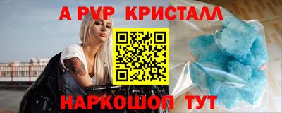 spice Кингисепп
