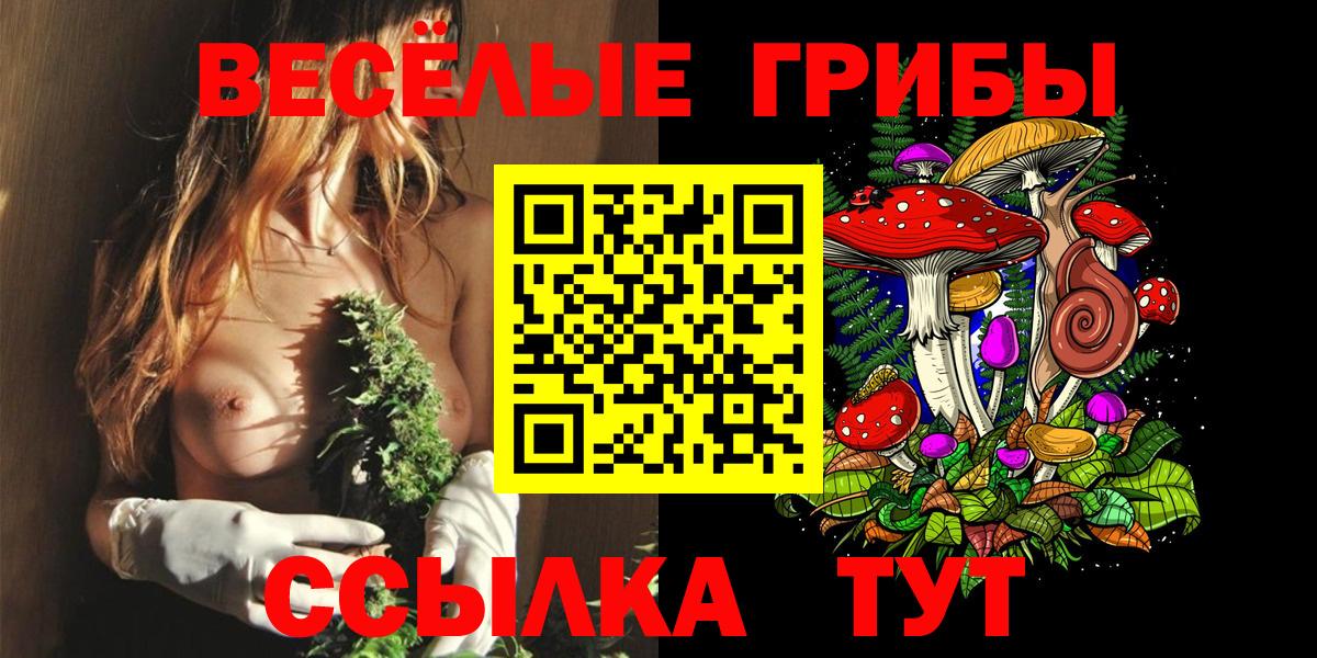 Луховицы  Галлюциногенные грибы прущие грибы  Вход с VPN 
