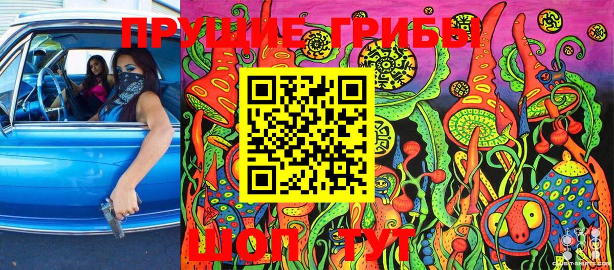 Галлюциногенные грибы Cubensis Луховицы